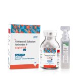 Logicef-SB